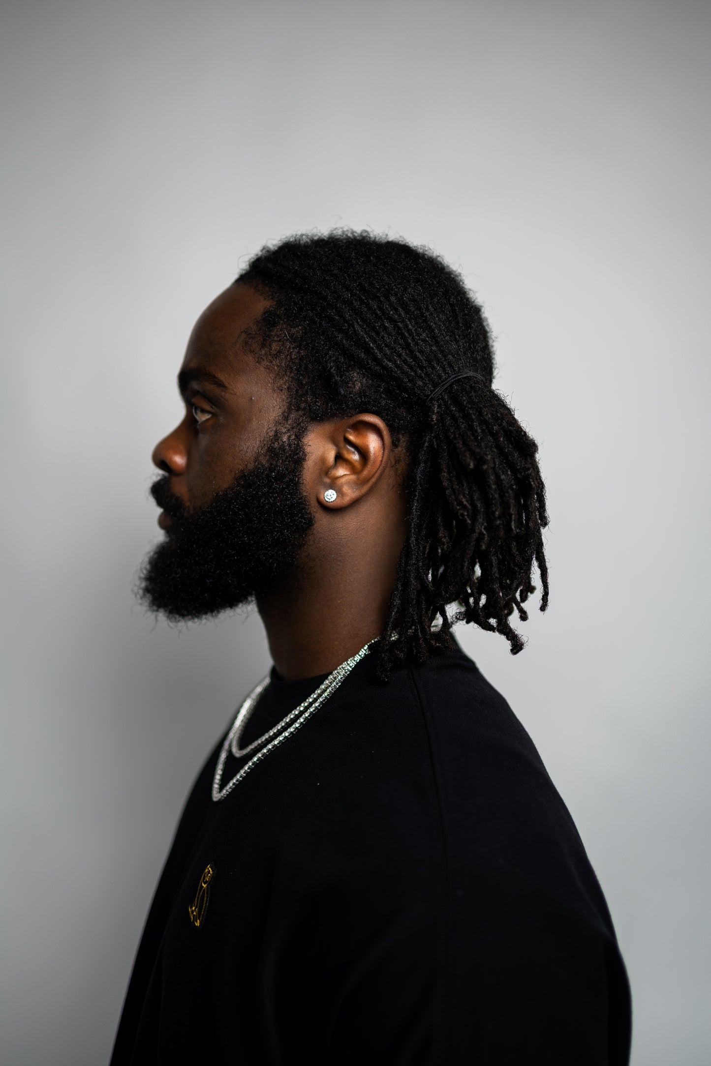 Halo Cut Silver & VVS1 Moissanite